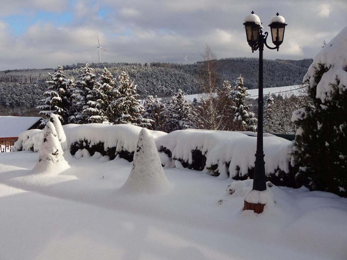 Apartment In Eifel With Children S Playground Lirstal Екстер'єр фото